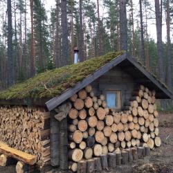 Фото Эко-отель Лес