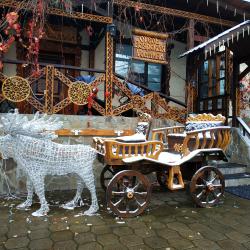 Фото Отель Боярская усадьба