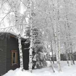 Фото Отель Гостевой дом Окулова Заимка