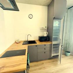 Фото Апартаменты на улице Мечникова