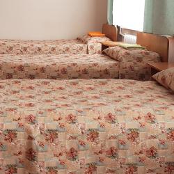 Номер эконом с 3 односпальными кроватями