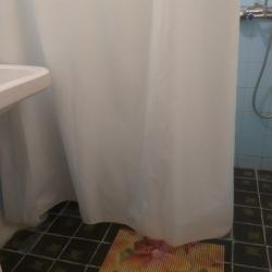 Фото Отель Пансионат Родина