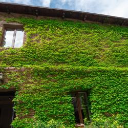 Фото Отель Tiflis (Тифлис)