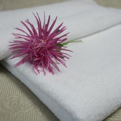 Фото Отель Астра