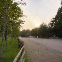 Фото Отель Мятный сад