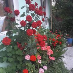 Фото Отель Милана