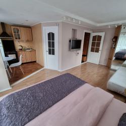 Фото Апартаменты Istoma (Истома) на ул. Горошникова, 72