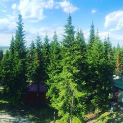 Фото Отель Русь