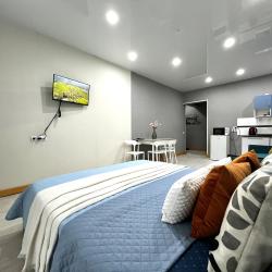 1-комнатные апартаменты студия Смолина 67/1-170  (студия)