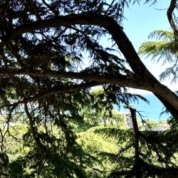 Империал 2011 — 4022b954039b335f0f387f058a772bf3