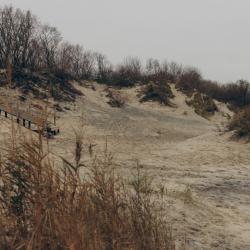 Фото Апартаменты на улице Садовая 5