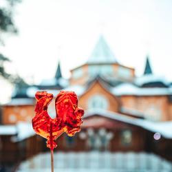 Фото Отель Вотчина