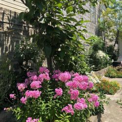 Фото Отель Гостевой дом Катюша