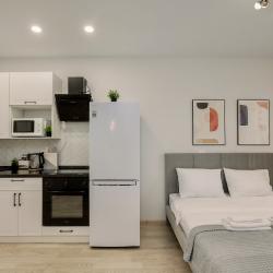 1-комнатные апартаменты студия пр-т Конструктора М.Т. Калашникова, 25