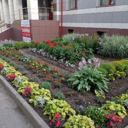 Фото Отель Капитал