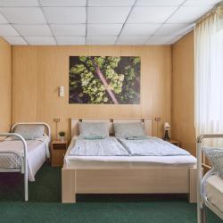 Фото Отель Гостевой дом Зеленый