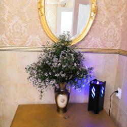 Фото Отель СоветникЪ (бывш. На Рознина)