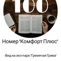 Номер комфорт+ с 1 двуспальной кроватью #100