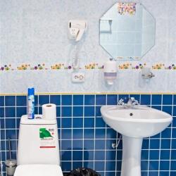 Фото Отель Большая Медведица