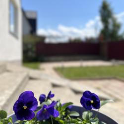Фото Отель Коттедж в переулке 2-й Овражный 13