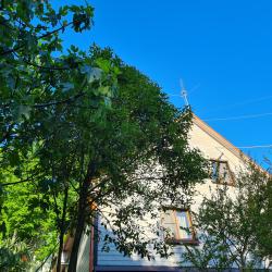 Фото Отель Оранжевое Солнце