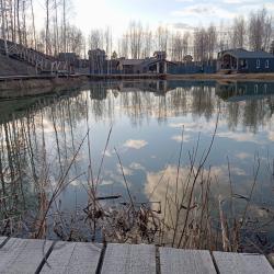 Коттедж Лесной