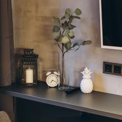 1-комнатные апартаменты студия Loft 319