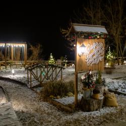 Фото Отель Снегирь