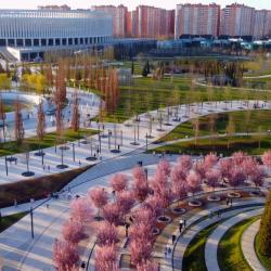 Фото Апартаменты DreamApart (ДримАпарт) на улице Восточно-Кругликовская 24