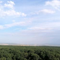 Фото Апартаменты Relax на улице Доваторцев 90/1