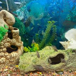 Фото Отель Лапландия