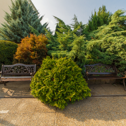 Фото Отель Санаторий Надежда