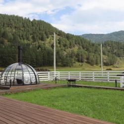 Фото Отель Альпинс residence