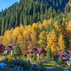 Фото Отель Ой-Карагай Лесная Сказка (Oi-Qaragai)