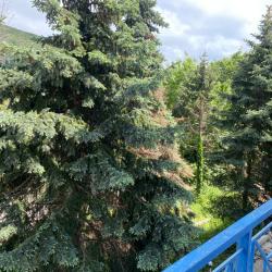 1-комнатный номер улучшенный семейный с 2 односпальными и 1 двуспальной кроватью