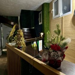 Фото Отель GreenWall (Гринволл)