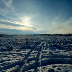 Фото Отель Оазис