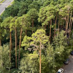 Апартаменты эконом Однокомнатная на Маковского