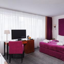 Номер студия бизнес с 1 двуспальной кроватью (с завтраком)