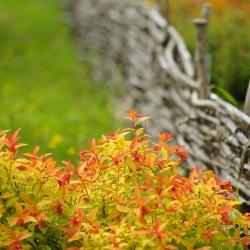 Фото Отель Заимка