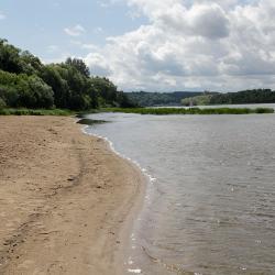 Фото Дачный отель Лесные Поляны