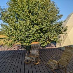 Фото Отель Ива Спа