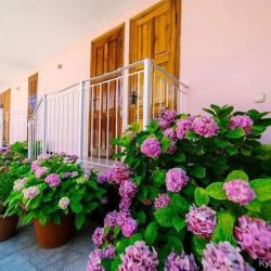 Фото Отель Мистерия