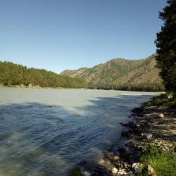 Фото Отель Феникс в Узнезе