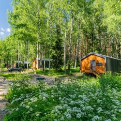 Дом с видом на лес гостиная со спальней (40 кв.м)