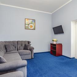 Номер люкс семейный с 1 двуспальной кроватью