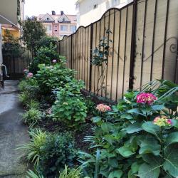 Фото Апартаменты Mamai-mansan