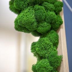 Фото Отель Лиcичкинhousе на улице Балкарская 21с4