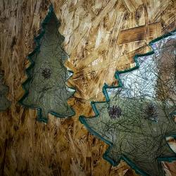 Русский лес — 416366ae725d8bc1bf086896b4d9f700