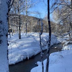 Фото Отель -бро